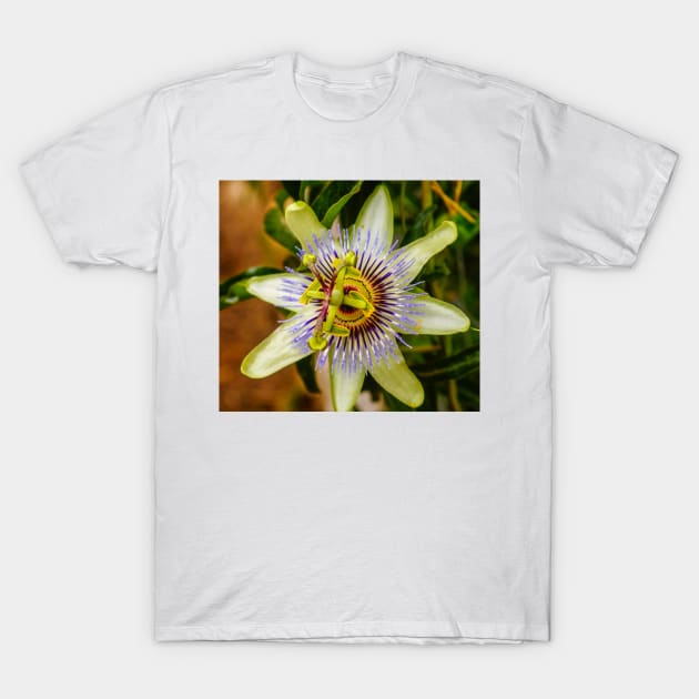 lbs passion fruit T-Shirt by pcfyi